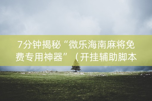 7分钟揭秘“微乐海南麻将免费专用神器”（开挂辅助脚本)
