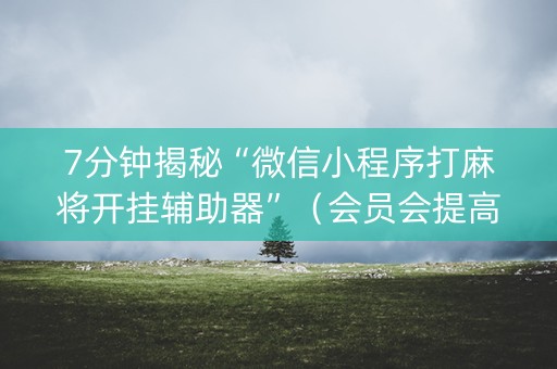 7分钟揭秘“微信小程序打麻将开挂辅助器”（会员会提高胜率吗)