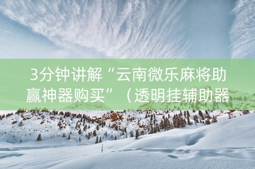 3分钟讲解“云南微乐麻将助赢神器购买”（透明挂辅助器)