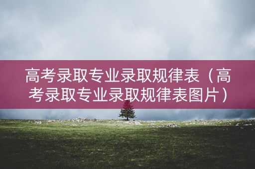 高考录取专业录取规律表（高考录取专业录取规律表图片）