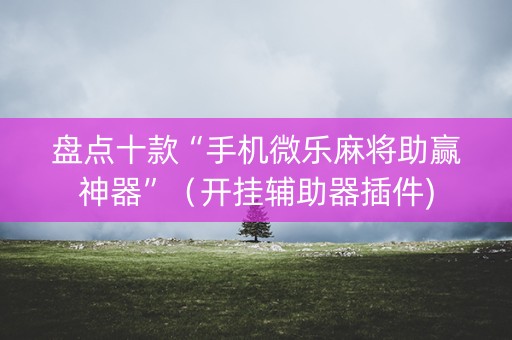 盘点十款“手机微乐麻将助赢神器”（开挂辅助器插件)