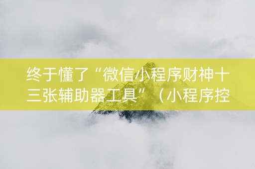 终于懂了“微信小程序财神十三张辅助器工具”（小程序控牌器)