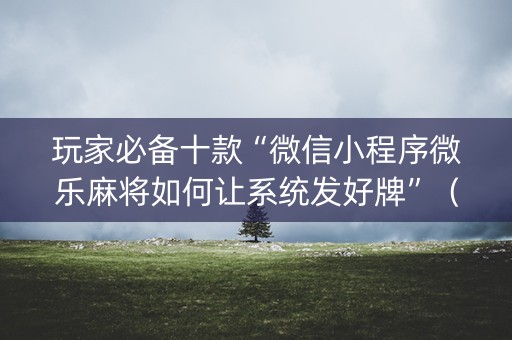 玩家必备十款“微信小程序微乐麻将如何让系统发好牌”（外辅工具)
