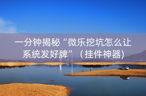 一分钟揭秘“微乐挖坑怎么让系统发好牌”（挂件神器)