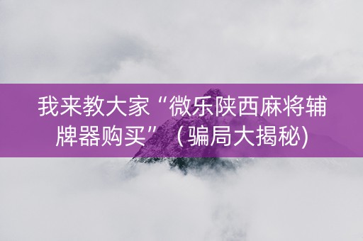 我来教大家“微乐陕西麻将辅牌器购买”（骗局大揭秘)