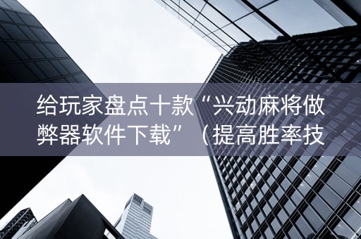 给玩家盘点十款“兴动麻将做弊器软件下载”（提高胜率技巧)