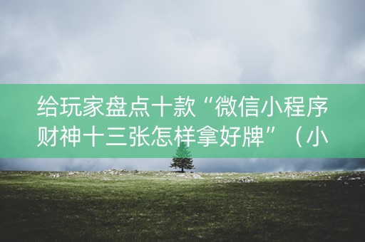 给玩家盘点十款“微信小程序财神十三张怎样拿好牌”（小程序怎么才会赢)