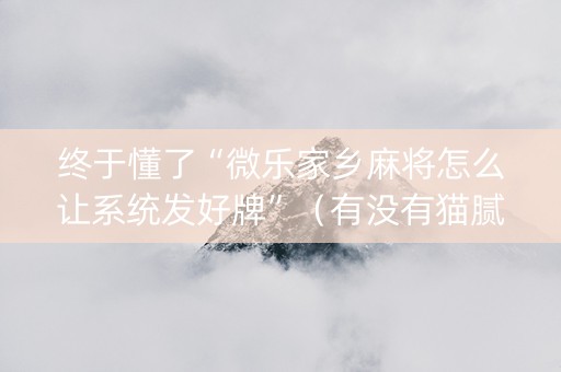 终于懂了“微乐家乡麻将怎么让系统发好牌”（有没有猫腻)