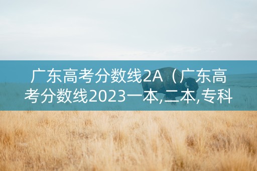 广东高考分数线2A（广东高考分数线2023一本,二本,专科）