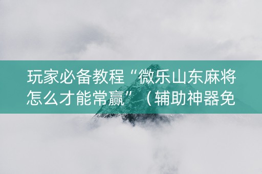 玩家必备教程“微乐山东麻将怎么才能常赢”（辅助神器免费)