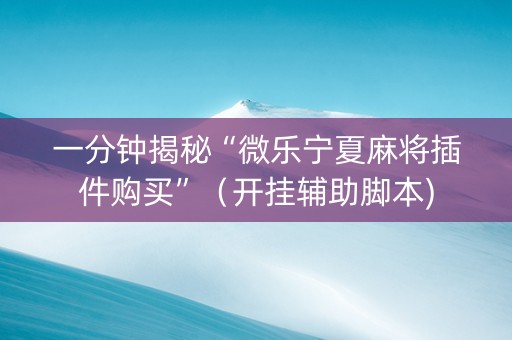 一分钟揭秘“微乐宁夏麻将插件购买”（开挂辅助脚本)