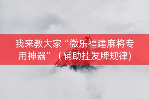 我来教大家“微乐福建麻将专用神器”（辅助挂发牌规律)