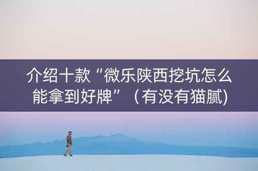 介绍十款“微乐陕西挖坑怎么能拿到好牌”（有没有猫腻)
