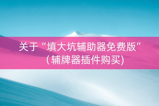 关于“填大坑辅助器免费版”（辅牌器插件购买)