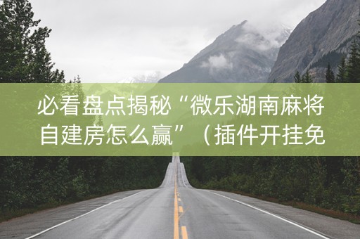 必看盘点揭秘“微乐湖南麻将自建房怎么赢”（插件开挂免费AI)