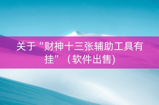 关于“财神十三张辅助工具有挂”（软件出售)