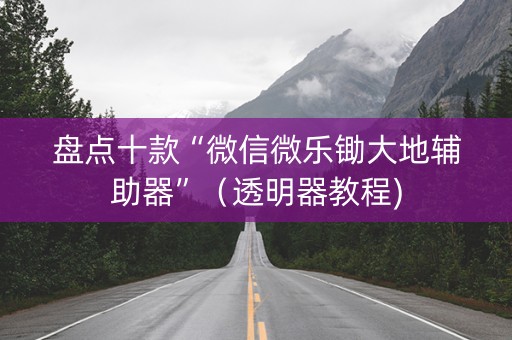 盘点十款“微信微乐锄大地辅助器”（透明器教程)