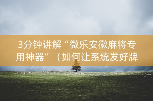 3分钟讲解“微乐安徽麻将专用神器”（如何让系统发好牌)