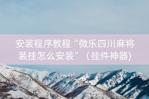 安装程序教程“微乐四川麻将装挂怎么安装”（挂件神器)