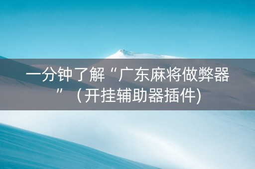 一分钟了解“广东麻将做弊器”（开挂辅助器插件)