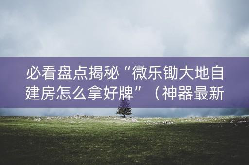 必看盘点揭秘“微乐锄大地自建房怎么拿好牌”（神器最新免费)