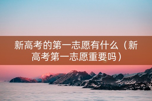 新高考的第一志愿有什么（新高考第一志愿重要吗）