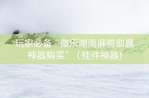 玩家必备“微乐湖南麻将助赢神器购买”（挂件神器)