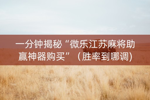 一分钟揭秘“微乐江苏麻将助赢神器购买”（胜率到哪调)