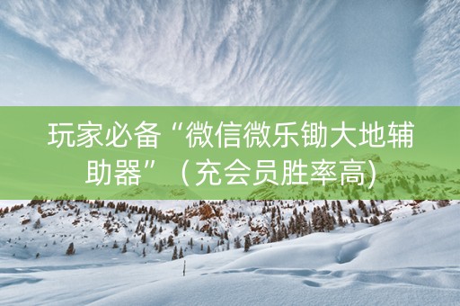 玩家必备“微信微乐锄大地辅助器”（充会员胜率高)