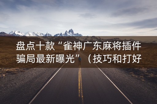盘点十款“雀神广东麻将插件骗局最新曝光”（技巧和打好牌方法)