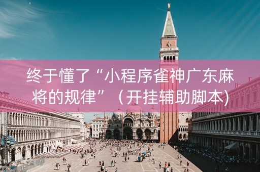终于懂了“小程序雀神广东麻将的规律”（开挂辅助脚本)