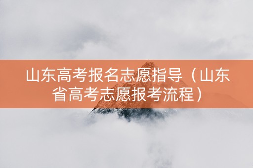 山东高考报名志愿指导（山东省高考志愿报考流程）