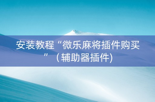 安装教程“微乐麻将插件购买”（辅助器插件)