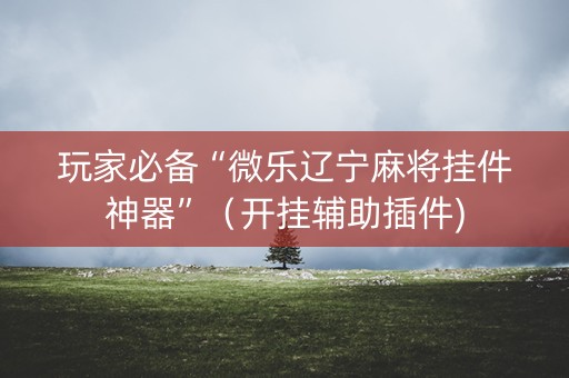 玩家必备“微乐辽宁麻将挂件神器”（开挂辅助插件)