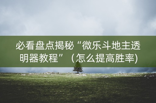 必看盘点揭秘“微乐斗地主透明器教程”（怎么提高胜率)