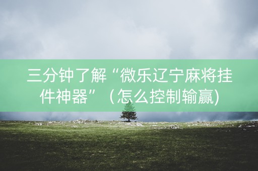 三分钟了解“微乐辽宁麻将挂件神器”（怎么控制输赢)