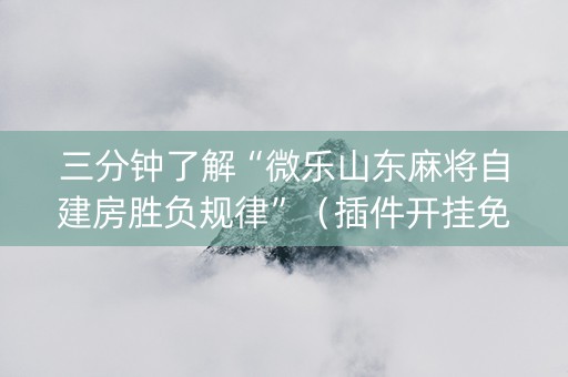 三分钟了解“微乐山东麻将自建房胜负规律”（插件开挂免费AI)