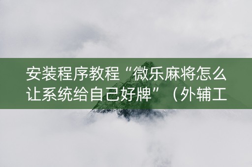 安装程序教程“微乐麻将怎么让系统给自己好牌”（外辅工具)