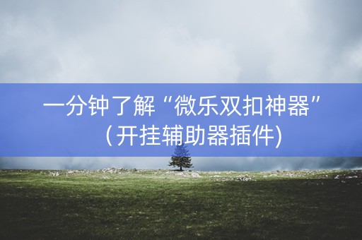 一分钟了解“微乐双扣神器”（开挂辅助器插件)