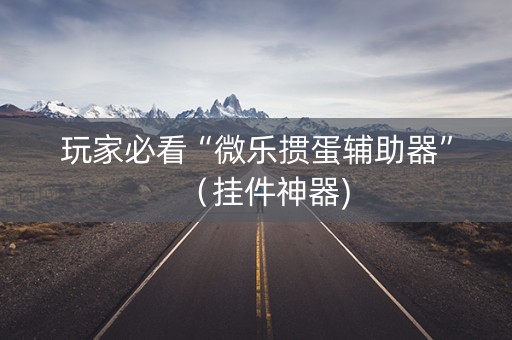 玩家必看“微乐掼蛋辅助器”（挂件神器)