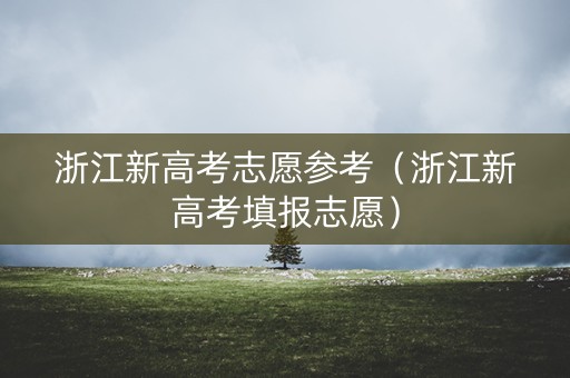 浙江新高考志愿参考（浙江新高考填报志愿）