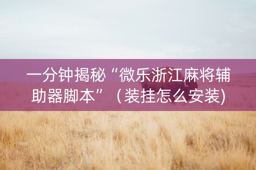 一分钟揭秘“微乐浙江麻将辅助器脚本”（装挂怎么安装)