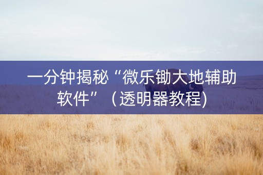 一分钟揭秘“微乐锄大地辅助软件”（透明器教程)