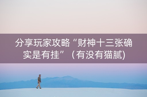 分享玩家攻略“财神十三张确实是有挂”（有没有猫腻)