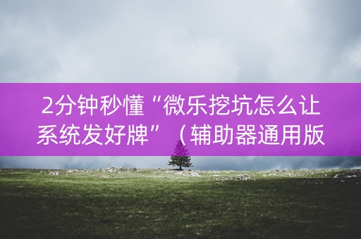 2分钟秒懂“微乐挖坑怎么让系统发好牌”（辅助器通用版)