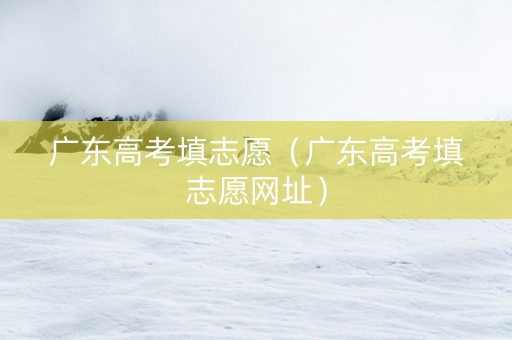 广东高考填志愿（广东高考填志愿网址）