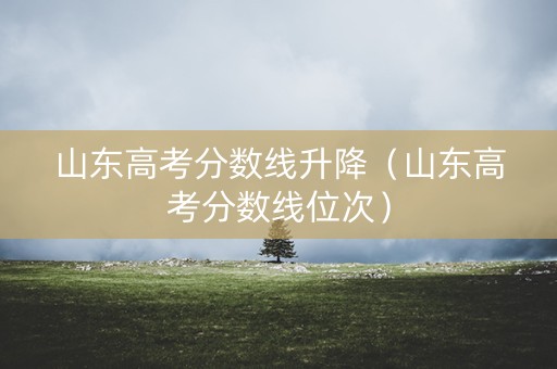 山东高考分数线升降（山东高考分数线位次）