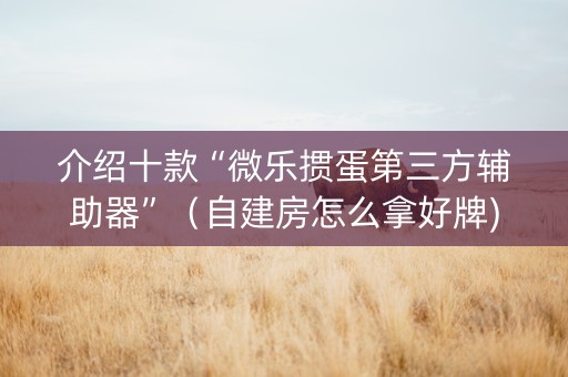 介绍十款“微乐掼蛋第三方辅助器”（自建房怎么拿好牌)