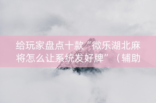给玩家盘点十款“微乐湖北麻将怎么让系统发好牌”（辅助器插件)