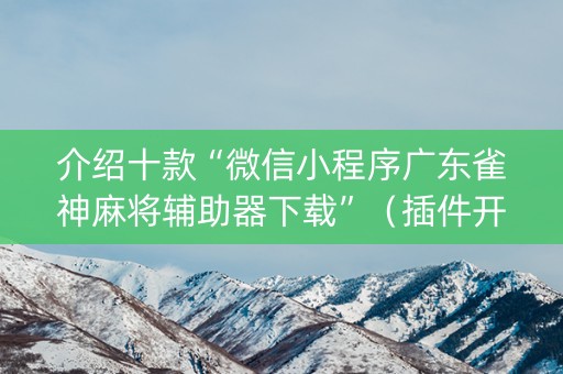介绍十款“微信小程序广东雀神麻将辅助器下载”（插件开挂免费AI)